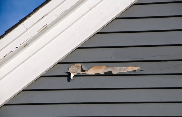 How To Choose The Right Materials for Your Siding Installation in 'Watertown, MN